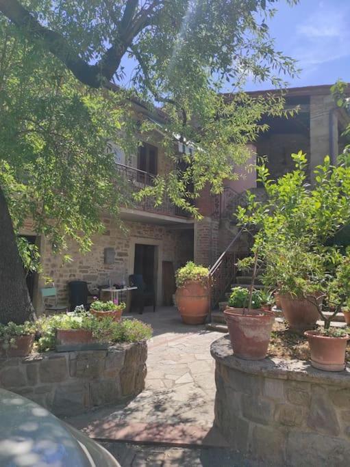 Petreto Il Giardino Dei Limoni Apartment Castiglion Fiorentino Exterior photo